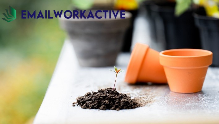 Curso de jardenería básica.